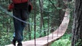 Man walking on a hanging bridge in National Park, USA. Stock footage. Rear view of a man hiker with backpack trekking in Royalty Free Stock Photo