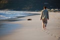 Man walking a dog at the beach in Cape Town, South Africa Royalty Free Stock Photo