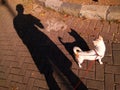 Walking the dog shadow Royalty Free Stock Photo