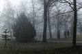 Man Walking His Dog Through Dark Misty City Parkland