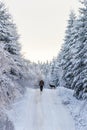 Man walking with his dog on a winter road in the woodland Royalty Free Stock Photo