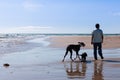 Man walking his dogs