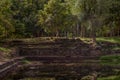 Man Walking in the Jungle by an Ancient Pool in Angkor Thom, Cambodia