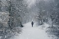 Man walking in magical winter forest