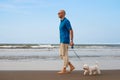 Man walking with dog on the beach Royalty Free Stock Photo