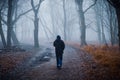 Man walking through a misty forest Royalty Free Stock Photo