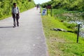 Man walking next to sleeping alligator in Florida Royalty Free Stock Photo