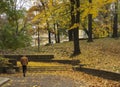 Man walking over dead leaves on park in autumn in Sofia