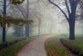 Man walking in park on beautiful misty autumn morning