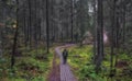 man walking on a path in a foggy dark forest Royalty Free Stock Photo