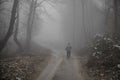 man walking on a path in a strange dark forest with fog Royalty Free Stock Photo