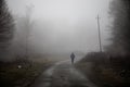 man walking on a path in a strange dark forest with fog Royalty Free Stock Photo