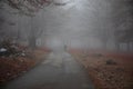 Man walking on a path in a strange dark forest with fog Royalty Free Stock Photo