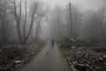 man walking on a path in a strange dark forest with fog Royalty Free Stock Photo