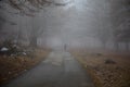 Man walking on a path in a strange dark forest with fog Royalty Free Stock Photo