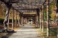 Man walking through pergola corridor in the park in autumn colors in Japan Royalty Free Stock Photo