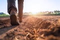 A man walking in a planting field on the morning sunrise. Generative Ai