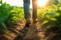 A man walking in a planting field on the morning sunrise, blurred background. Generative Ai