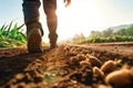 A man walking in a planting field on the morning sunrise, Generative Ai