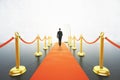 Man walking on red carpet concept