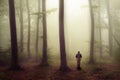 Man walking in scary forest with fog. Royalty Free Stock Photo