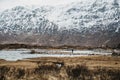 Man walking by scowcapped mountains and loch in Scottish Highlinds, Scotland Royalty Free Stock Photo