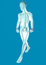 Man walking seen on x-ray with pain in wrists Royalty Free Stock Photo