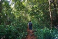 Man Walking on a small path through the natural rain forest