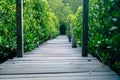 Man is walking on small wood bridge to nature walk way Royalty Free Stock Photo