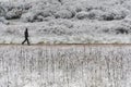 Man walking on snow path
