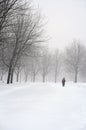 Man walking in a snowy park