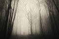 Man walking in spooky forest with fog on Halloween Royalty Free Stock Photo