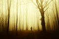 Man walking in spooky forest