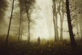 Man in mysterious autumn forest with fog Royalty Free Stock Photo