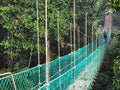 Man walking at suspension bridge in tree top canopy walkway in Danum rain forest Lahad datu Royalty Free Stock Photo