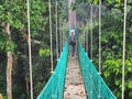 Man walking at suspension bridge in tree top canopy walkway in Danum rain forest Lahad datu Royalty Free Stock Photo