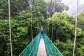 Man walking at suspension bridge in tree top canopy walkway in Danum rain forest Lahad datu Royalty Free Stock Photo