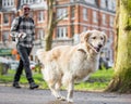 A man walking a three legged dog in the park at a dog show