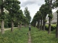 Man walking in town forest with dog Royalty Free Stock Photo