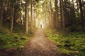 Man walking up path towards the light in magic forest. Royalty Free Stock Photo