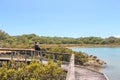 Rangitoto island, Auckland, New Zealand