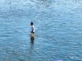 Man walking through the water Royalty Free Stock Photo