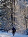 A man walking on a wintry road Royalty Free Stock Photo