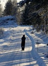 A man walking on a wintry road Royalty Free Stock Photo