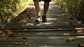 Man Walking on Wooden Dock in Forest - Sunny Royalty Free Stock Photo