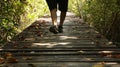 Man Walking on Wooden Path in Forest Royalty Free Stock Photo