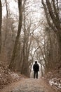 A man walks along the alley Royalty Free Stock Photo