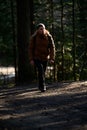 A man walks along the forest paths in the fog, the sun's rays break through the trees and the fog. Royalty Free Stock Photo