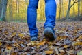 A man walks on autumn leaves through the forest. Walking in nature, hiking and beautiful scenery Royalty Free Stock Photo