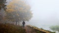 A man walks in the autumn park by the lake on a foggy morning Royalty Free Stock Photo